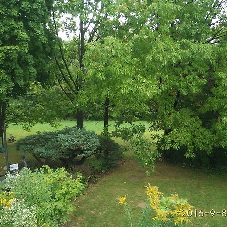多伦多邓肯公园民宿 Toronto Duncan Park Guesthouse Ngoại thất bức ảnh