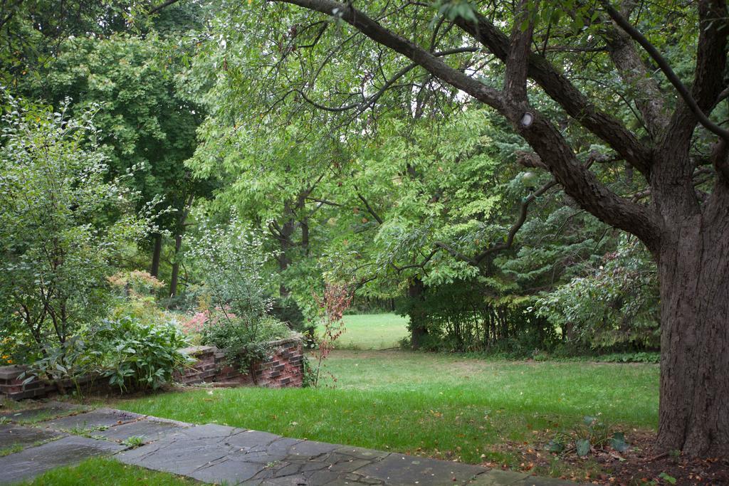 多伦多邓肯公园民宿 Toronto Duncan Park Guesthouse Ngoại thất bức ảnh